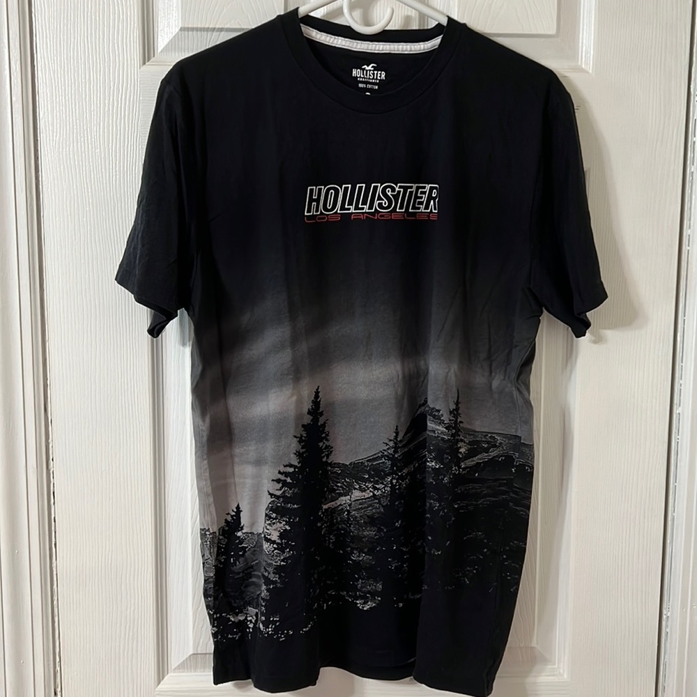 Mens Hollister Graphic Tee, Size Large. New with tags.